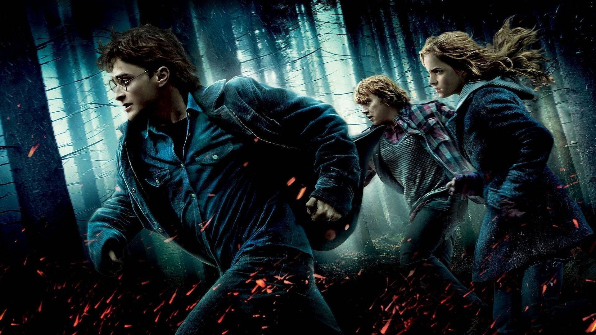 What movies or TV series have you watched more than 5 times?